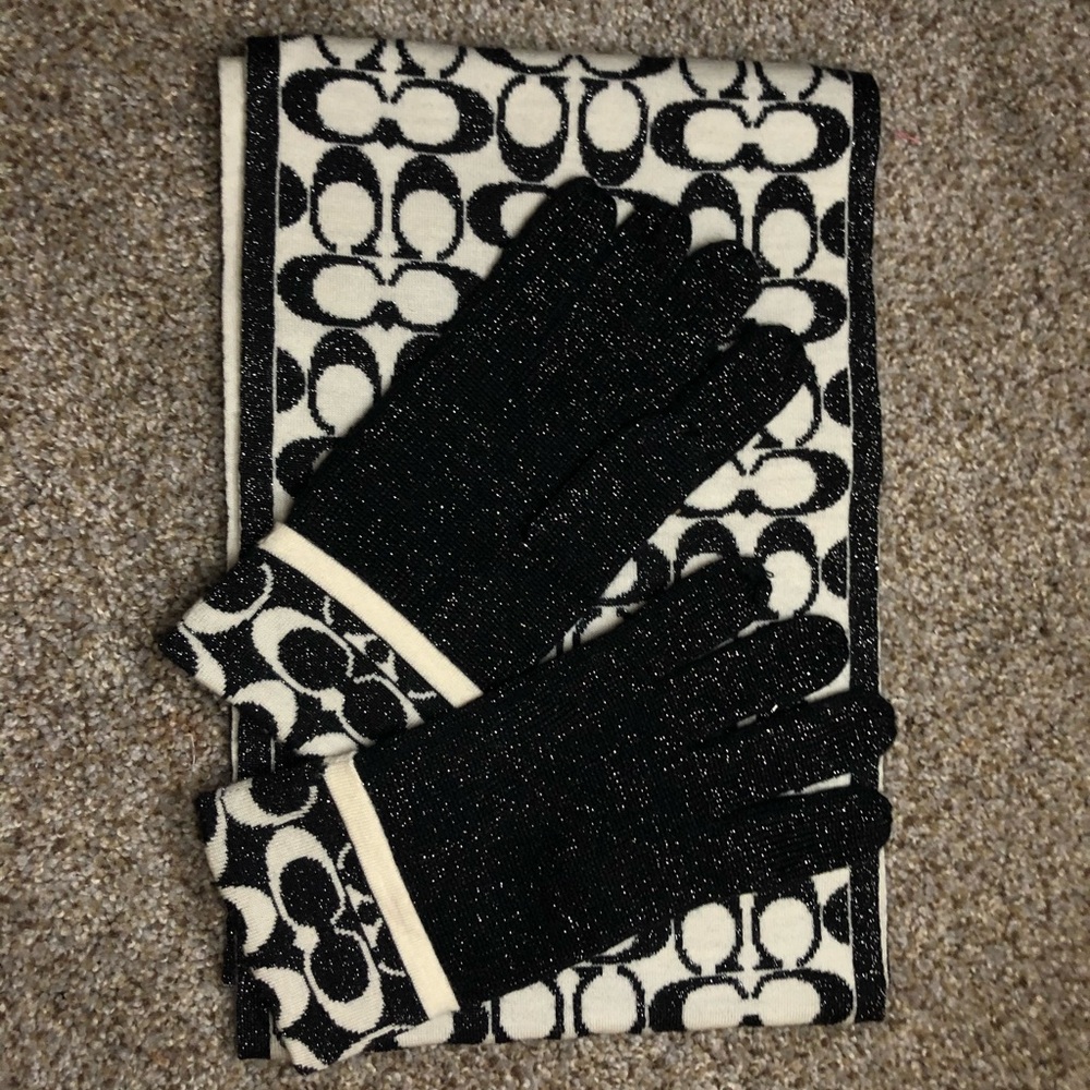 Shimmery Coach Scarf & Glove Set
